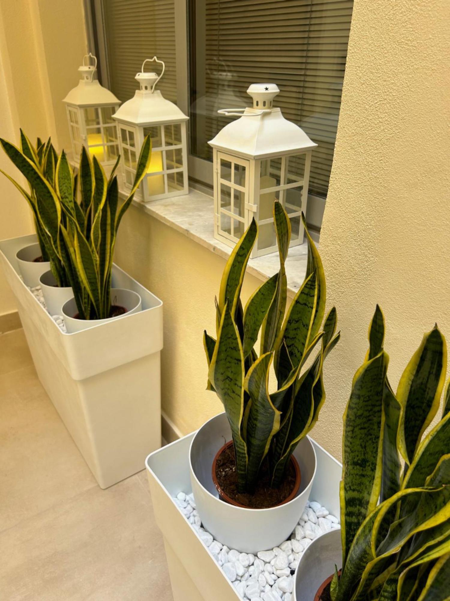 Casa Lounge Costituzione Hotell Cagliari Exteriör bild